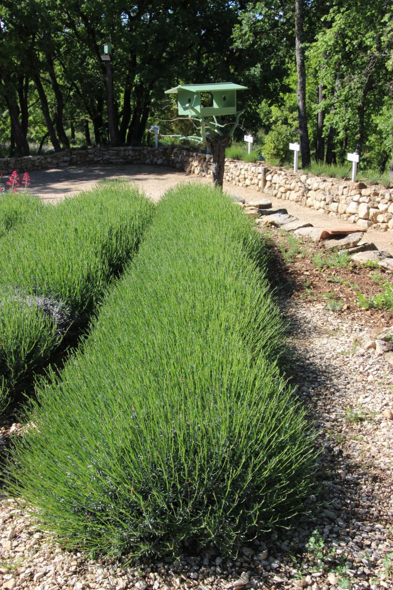 Le Hameau Fleur De Pierres 3* Murs (Vaucluse)